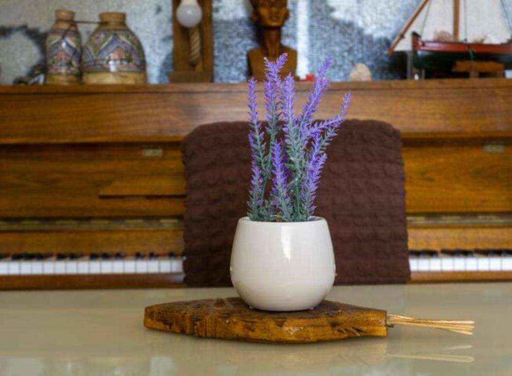 Guesthouse Lion Split Zewnętrze zdjęcie